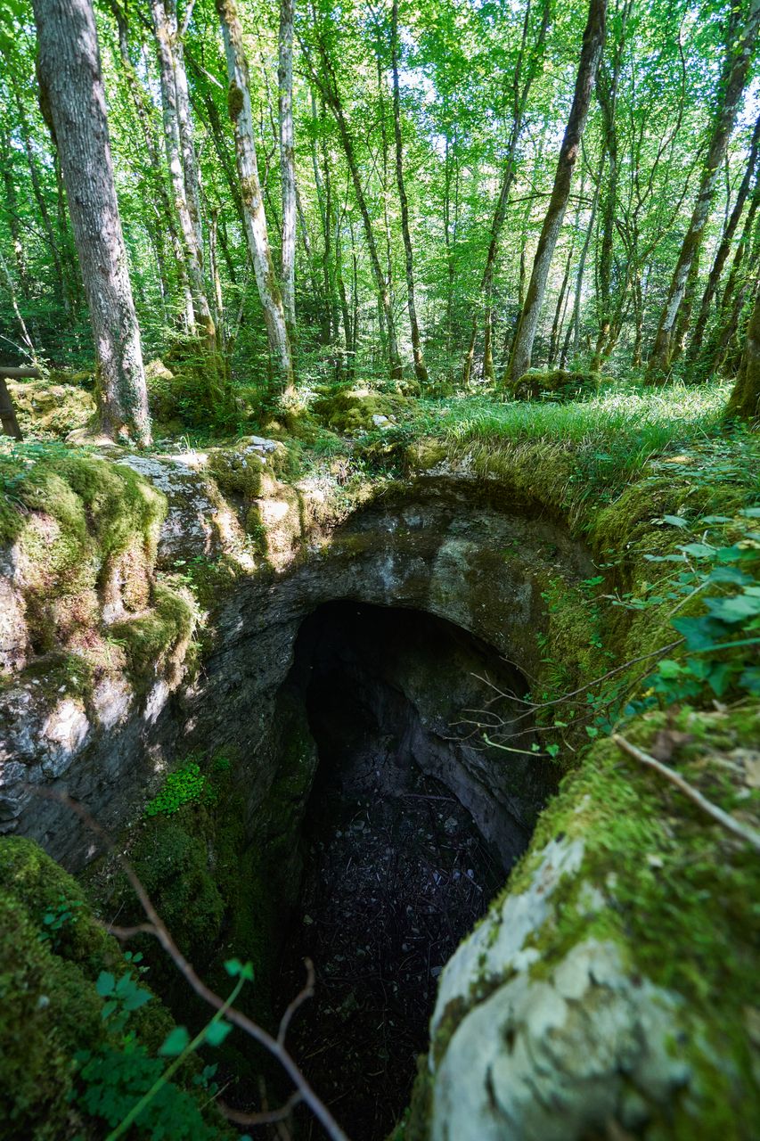Sentier karstique des Malrochers à Besain, près de Poligny 07